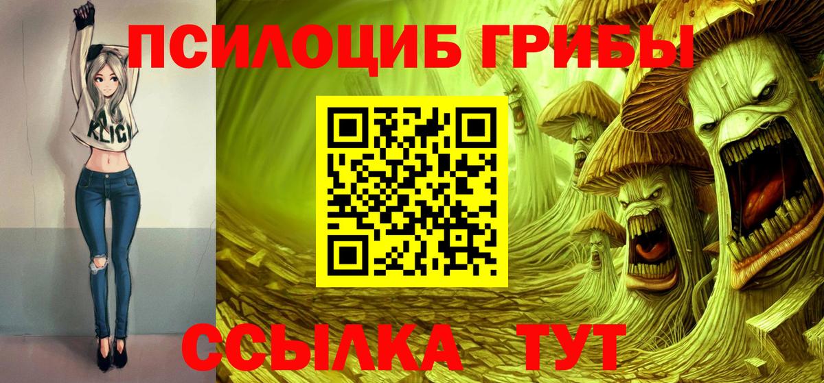 Галлюциногенные грибы Psilocybine cubensis Касимов