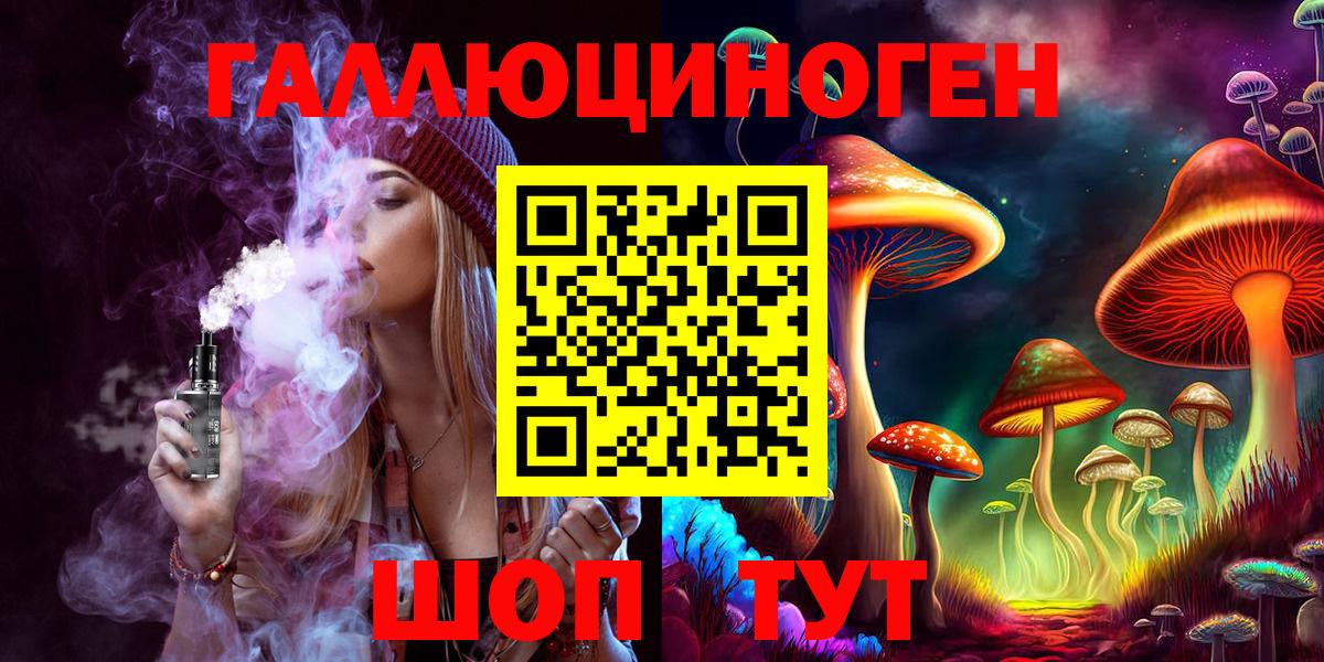 Касимов  Псилоцибиновые грибы прущие грибы  Вход с VPN  Псилоцибиновые грибы Psilocybine cubensis 